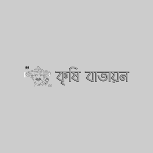 পালংশাকের গোড়া পচা রোগ